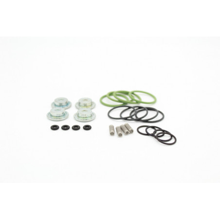 KIT REVISIONE INIETTORI...