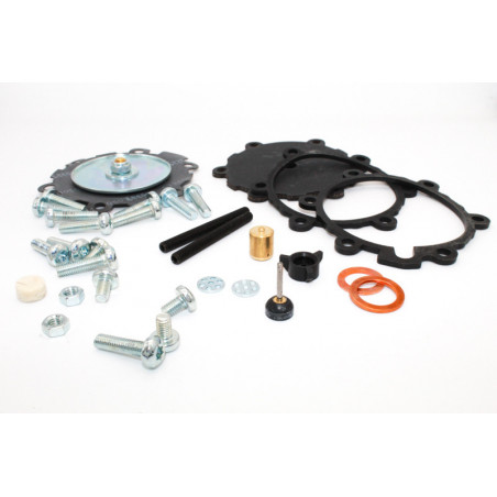 KIT REVISIONE RIDUTTORI CNG...