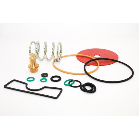 KIT REVISIONE RIDUTTORI BRC...