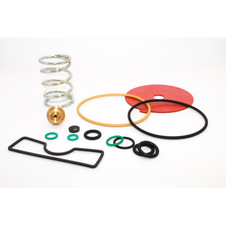 KIT REVISIONE RIDUTTORI BRC...